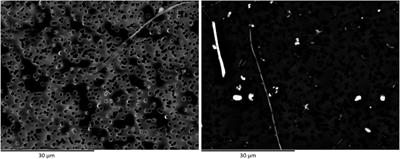 Waterborne asbestos: Good practices for surface waters analyses